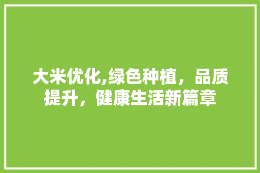 大米优化,绿色种植，品质提升，健康生活新篇章