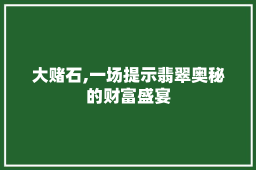 大赌石,一场提示翡翠奥秘的财富盛宴