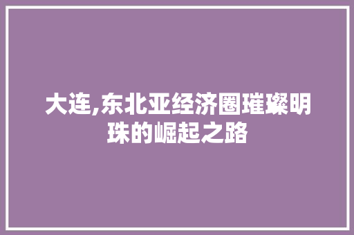 大连,东北亚经济圈璀璨明珠的崛起之路