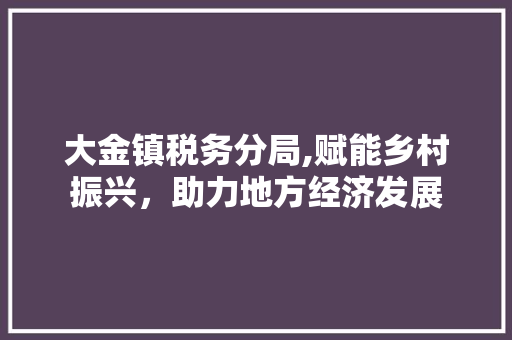 大金镇税务分局,赋能乡村振兴，助力地方经济发展