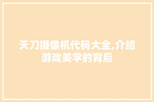 天刀摄像机代码大全,介绍游戏美学的背后