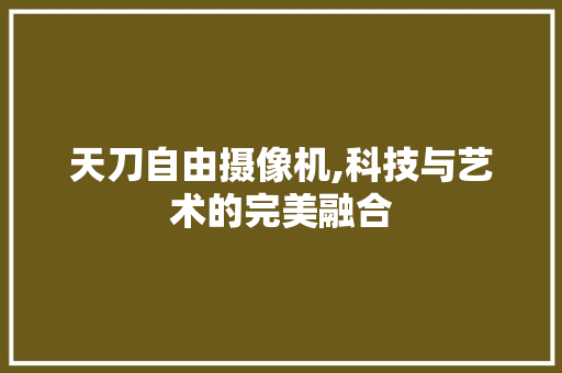 天刀自由摄像机,科技与艺术的完美融合