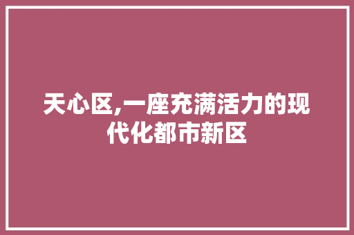 天心区,一座充满活力的现代化都市新区