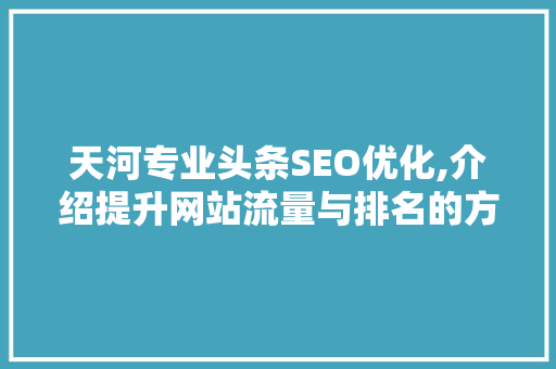 天河专业头条SEO优化,介绍提升网站流量与排名的方法