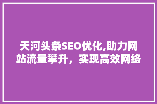 天河头条SEO优化,助力网站流量攀升，实现高效网络营销