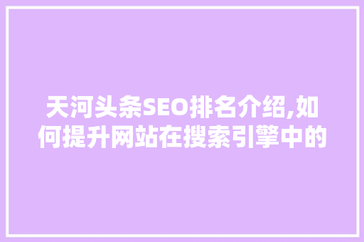 天河头条SEO排名介绍,如何提升网站在搜索引擎中的竞争力