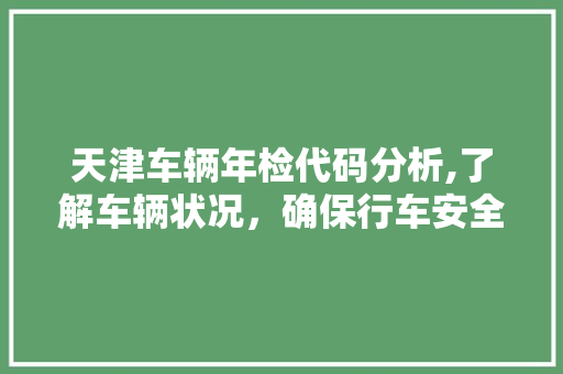 天津车辆年检代码分析,了解车辆状况，确保行车安全