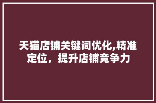 天猫店铺关键词优化,精准定位，提升店铺竞争力