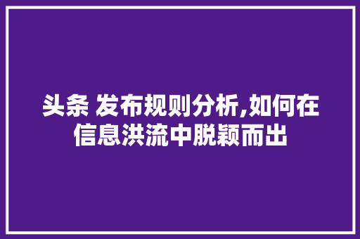 头条 发布规则分析,如何在信息洪流中脱颖而出