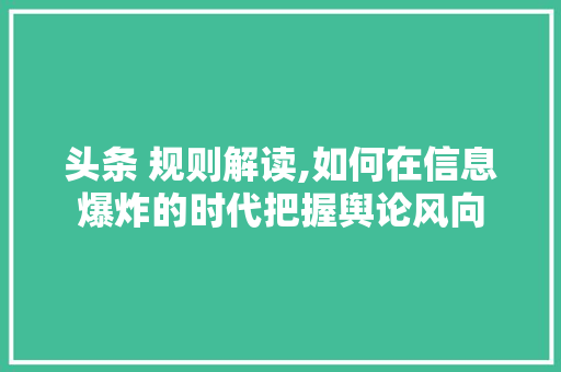 头条 规则解读,如何在信息爆炸的时代把握舆论风向