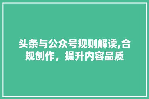 头条与公众号规则解读,合规创作，提升内容品质