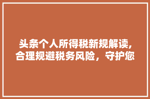 头条个人所得税新规解读,合理规避税务风险，守护您的“钱袋子”