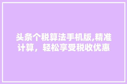 头条个税算法手机版,精准计算，轻松享受税收优惠