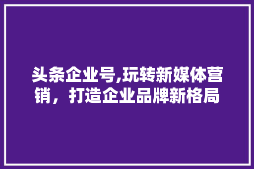 头条企业号,玩转新媒体营销，打造企业品牌新格局