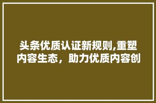 头条优质认证新规则,重塑内容生态，助力优质内容创作者脱颖而出