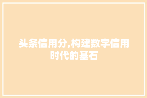 头条信用分,构建数字信用时代的基石