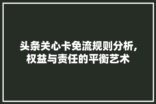 头条关心卡免流规则分析,权益与责任的平衡艺术