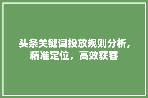 头条关键词投放规则分析,精准定位，高效获客