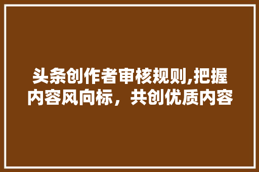 头条创作者审核规则,把握内容风向标，共创优质内容生态