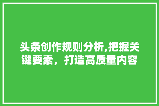 头条创作规则分析,把握关键要素，打造高质量内容