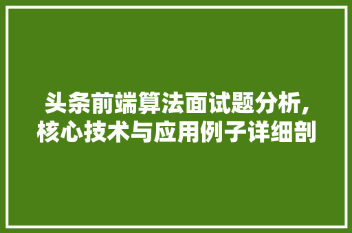 头条前端算法面试题分析,核心技术与应用例子详细剖析