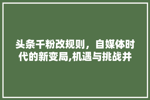 头条千粉改规则，自媒体时代的新变局,机遇与挑战并存