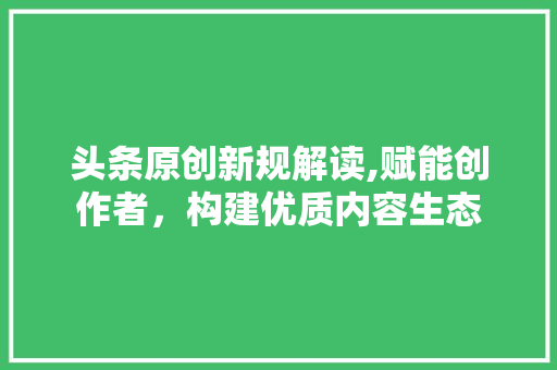 头条原创新规解读,赋能创作者，构建优质内容生态