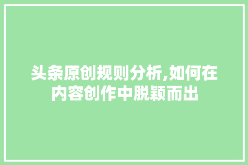 头条原创规则分析,如何在内容创作中脱颖而出