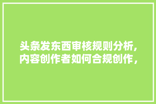 头条发东西审核规则分析,内容创作者如何合规创作，提升账号权重