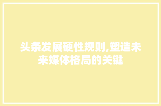 头条发展硬性规则,塑造未来媒体格局的关键