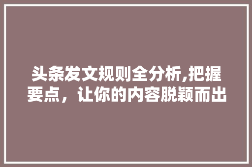 头条发文规则全分析,把握要点，让你的内容脱颖而出