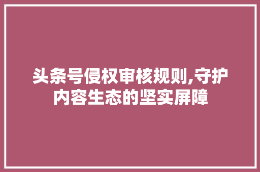 头条号侵权审核规则,守护内容生态的坚实屏障