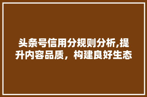 头条号信用分规则分析,提升内容品质，构建良好生态