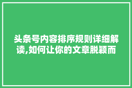 头条号内容排序规则详细解读,如何让你的文章脱颖而出