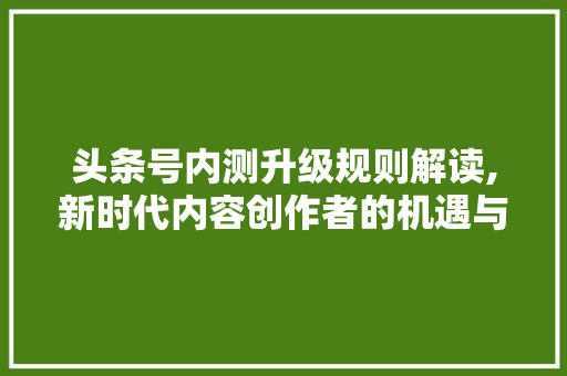 头条号内测升级规则解读,新时代内容创作者的机遇与挑战