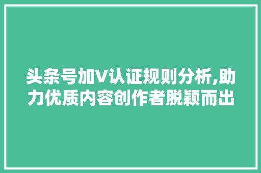 头条号加V认证规则分析,助力优质内容创作者脱颖而出