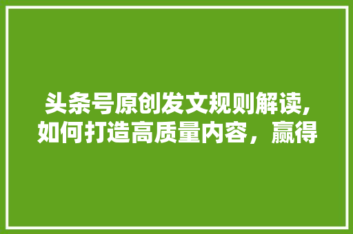 头条号原创发文规则解读,如何打造高质量内容，赢得更多关注