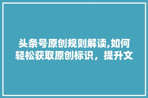 头条号原创规则解读,如何轻松获取原创标识，提升文章质量与影响力