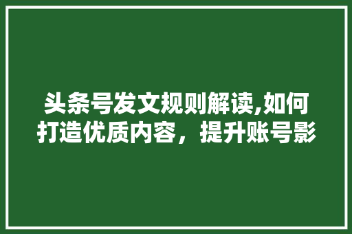 头条号发文规则解读,如何打造优质内容，提升账号影响力