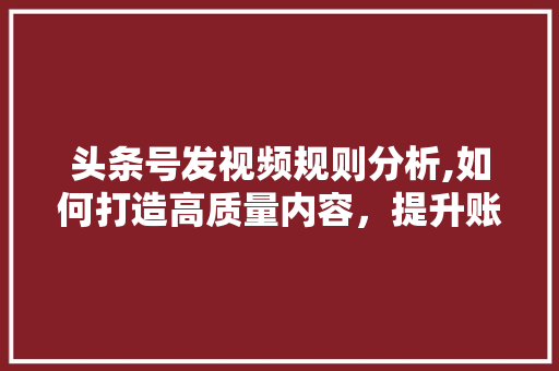 头条号发视频规则分析,如何打造高质量内容，提升账号影响力