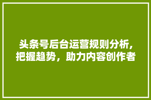 头条号后台运营规则分析,把握趋势，助力内容创作者成长