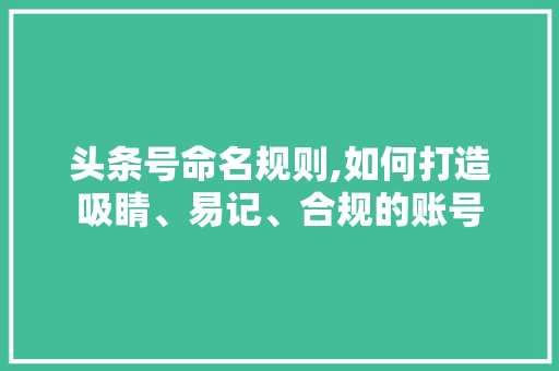 头条号命名规则,如何打造吸睛、易记、合规的账号