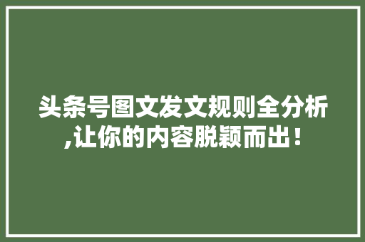 头条号图文发文规则全分析,让你的内容脱颖而出！