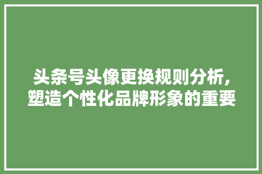 头条号头像更换规则分析,塑造个性化品牌形象的重要一步