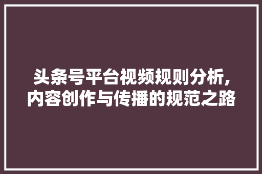 头条号平台视频规则分析,内容创作与传播的规范之路