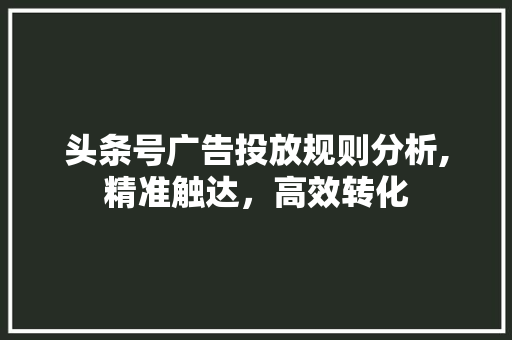 头条号广告投放规则分析,精准触达，高效转化