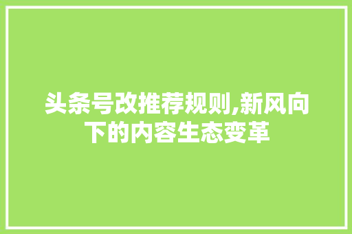 头条号改推荐规则,新风向下的内容生态变革