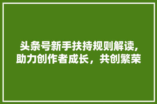 头条号新手扶持规则解读,助力创作者成长，共创繁荣内容生态