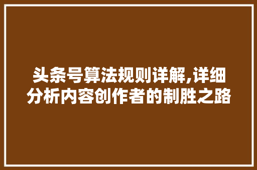 头条号算法规则详解,详细分析内容创作者的制胜之路