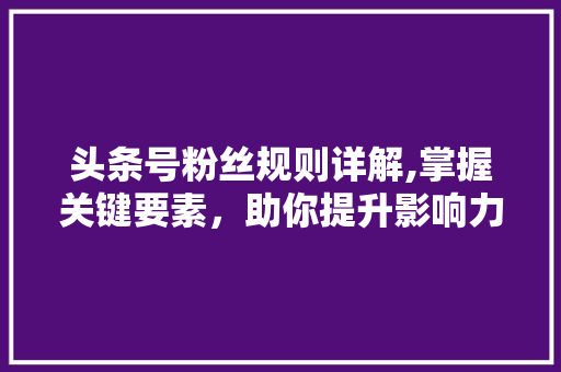 头条号粉丝规则详解,掌握关键要素，助你提升影响力